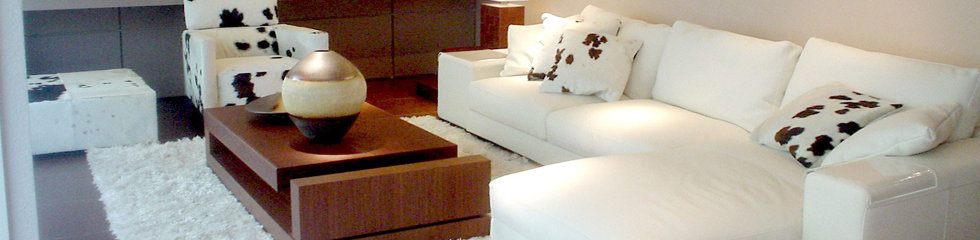 Compañia Inmobiliaria DEMO INC